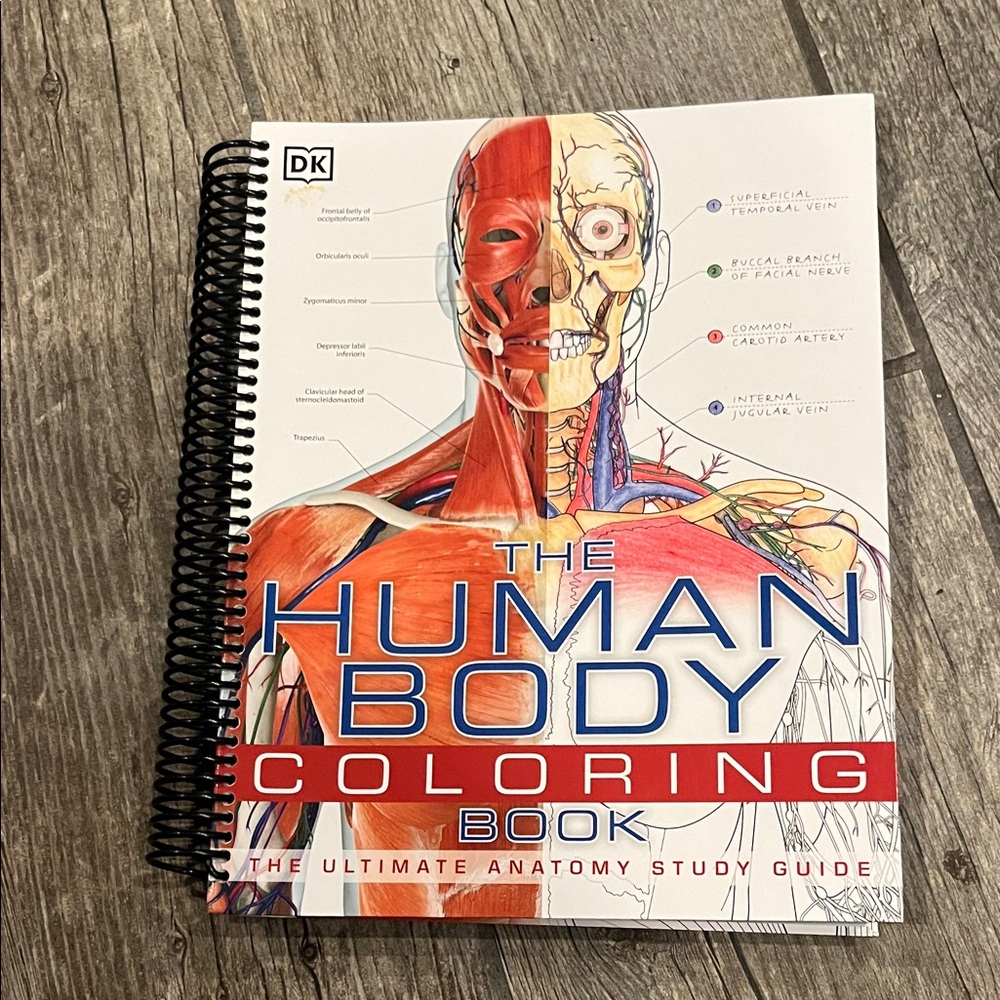 Th Human Body Coloring Book